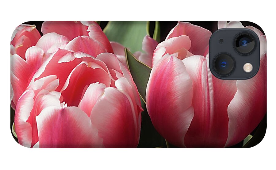 Flowers iPhone 13 Case featuring the photograph Spring by Ann Jacobson