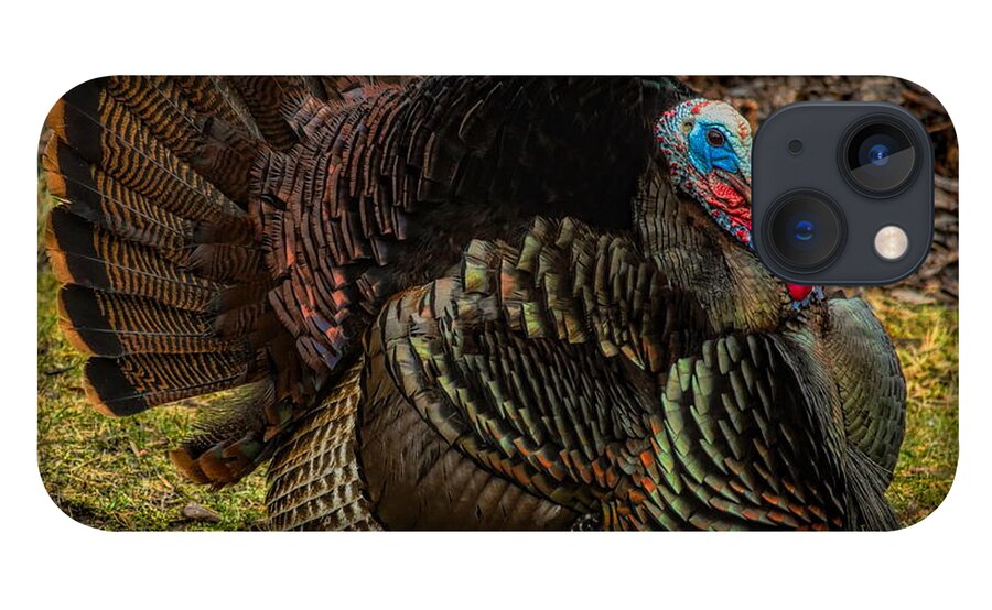 Wild Turkey iPhone 13 Case featuring the photograph Spring Gobbler by Dale Kauzlaric