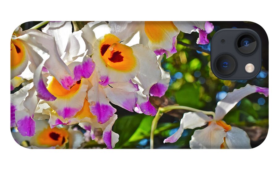 Orchid iPhone 13 Case featuring the photograph Spring Show 15 Brazilian Orchid by Janis Senungetuk