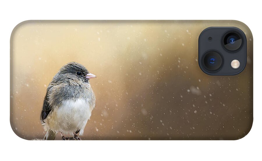 Snow iPhone 13 Case featuring the photograph Spring Snow by Cathy Kovarik