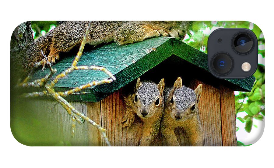Squirrel iPhone 13 Case featuring the photograph Squirrel Family Portrait by Ted Keller