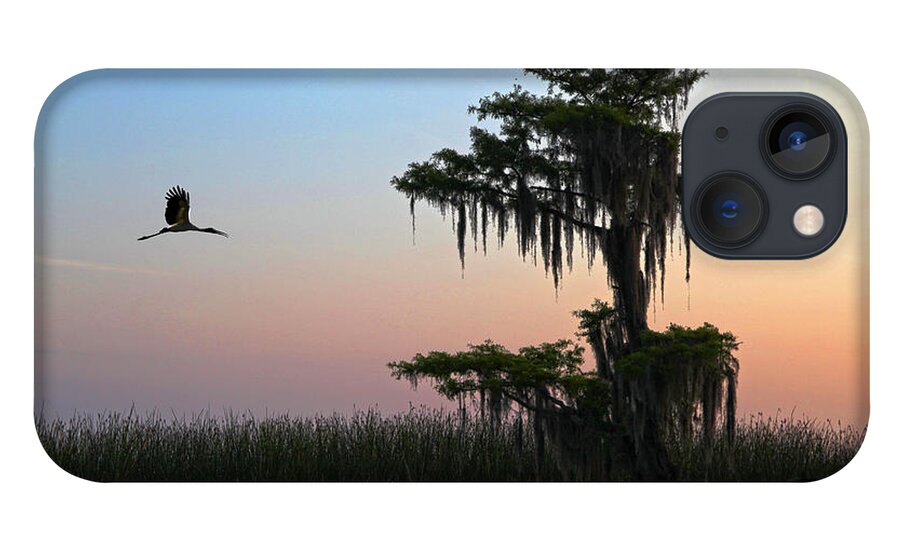 Tree iPhone 13 Case featuring the photograph St Augustine Morning by Robert Och