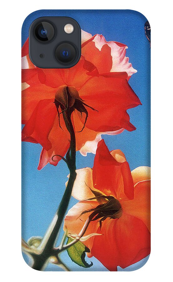 Digital Art iPhone 13 Case featuring the painting Standing Proud - Red Roses from the master gardner by Ian Anderson