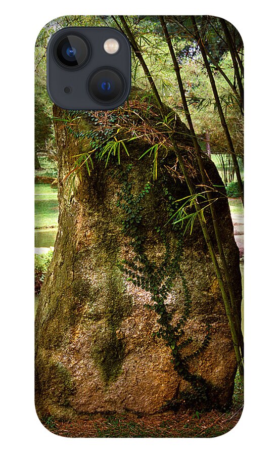 Standing Stone iPhone 13 Case featuring the photograph Standing Stone with Fern and Bamboo 19A by Gerry Gantt