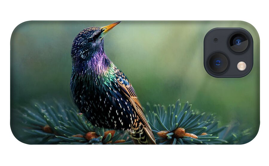 Bird iPhone 13 Case featuring the photograph Starling by Cathy Kovarik