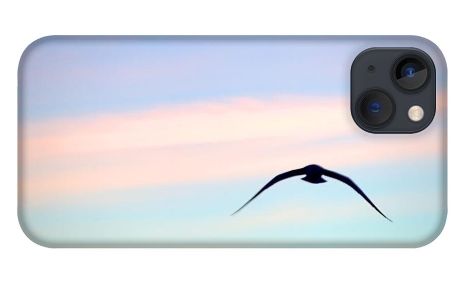 Gull iPhone 13 Case featuring the photograph Stealth by Newwwman