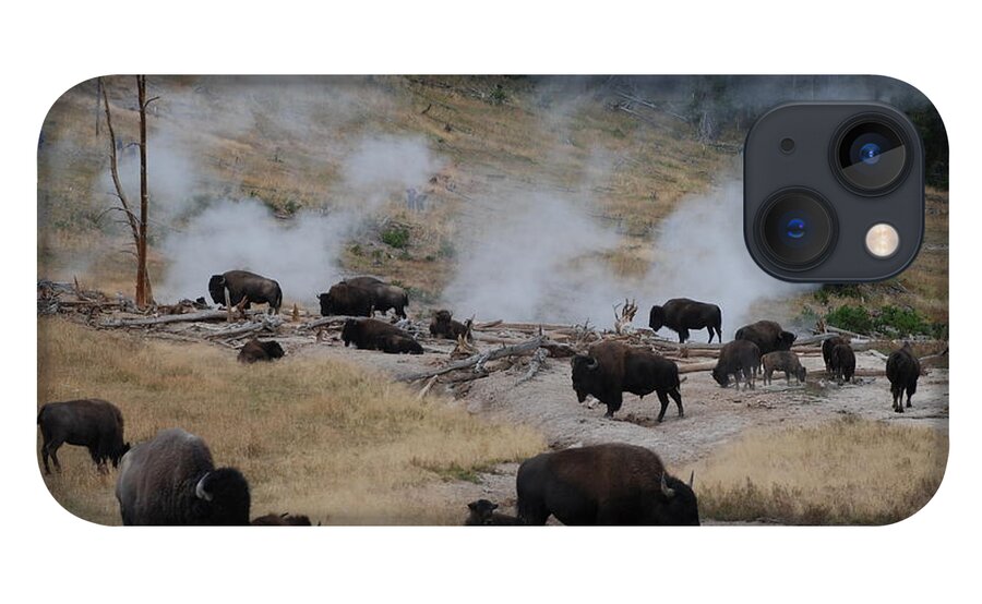 Bison iPhone 13 Case featuring the photograph Steam Bath by Jim Goodman