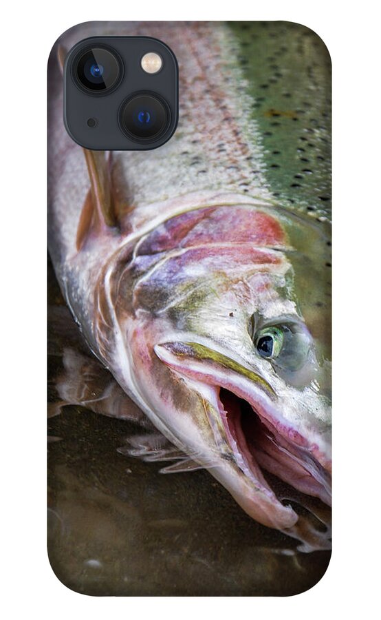 Fishing iPhone 13 Case featuring the photograph Steelhead 1 by Jason Brooks