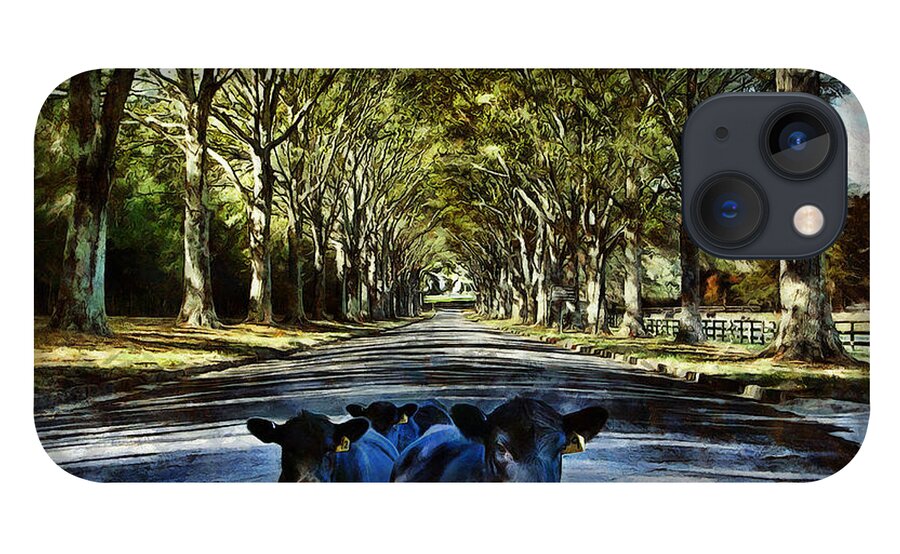 Laneway iPhone 13 Case featuring the digital art Street Cows by JGracey Stinson