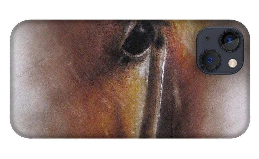 Canvas Prints iPhone 13 Case featuring the painting Subtle Horse by Jackie Flaten
