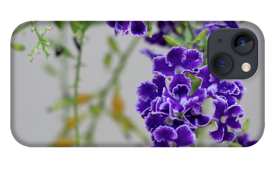 Flower iPhone 13 Case featuring the photograph Summer Purple Bloom by Mary Anne Delgado