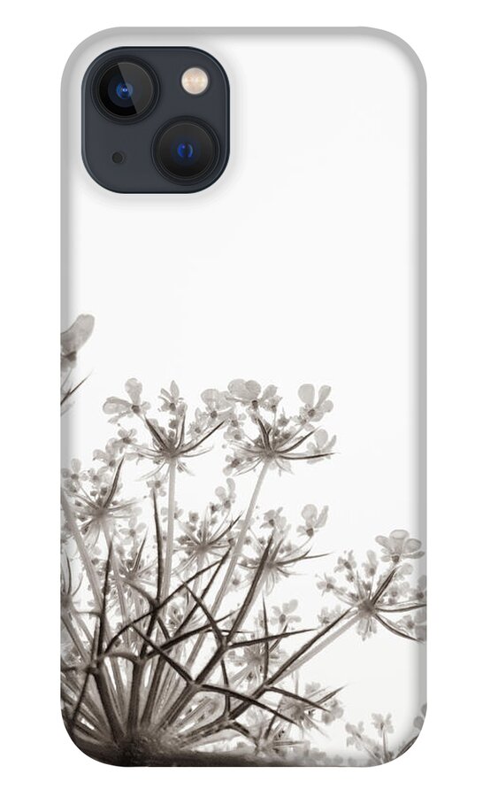 Queen Anne's Lace iPhone 13 Case featuring the photograph Summer Snow II by Holly Ross