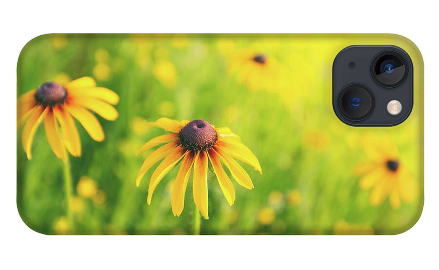 Wildflowers iPhone 13 Case featuring the photograph Summertime by Becqi Sherman