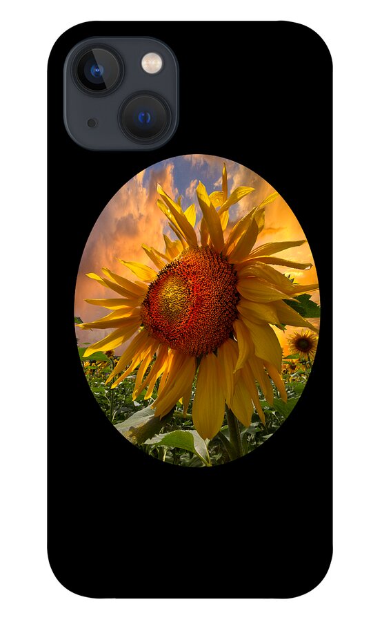 Sunflower iPhone 13 Case featuring the photograph Sunflower Dawn in Oval by Debra and Dave Vanderlaan