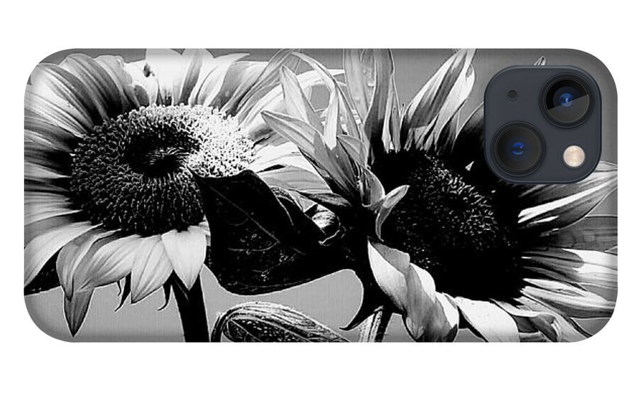 Black And White iPhone 13 Case featuring the photograph Sunflower Duo BW by Alexis King-Glandon