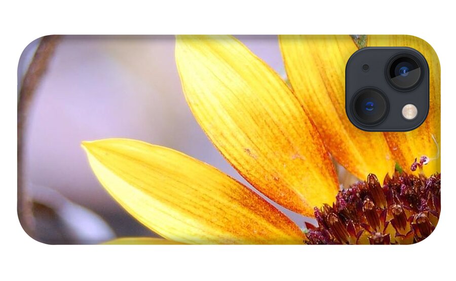 Sunflower iPhone 13 Case featuring the photograph Sunflower Perspective by Amy Fose