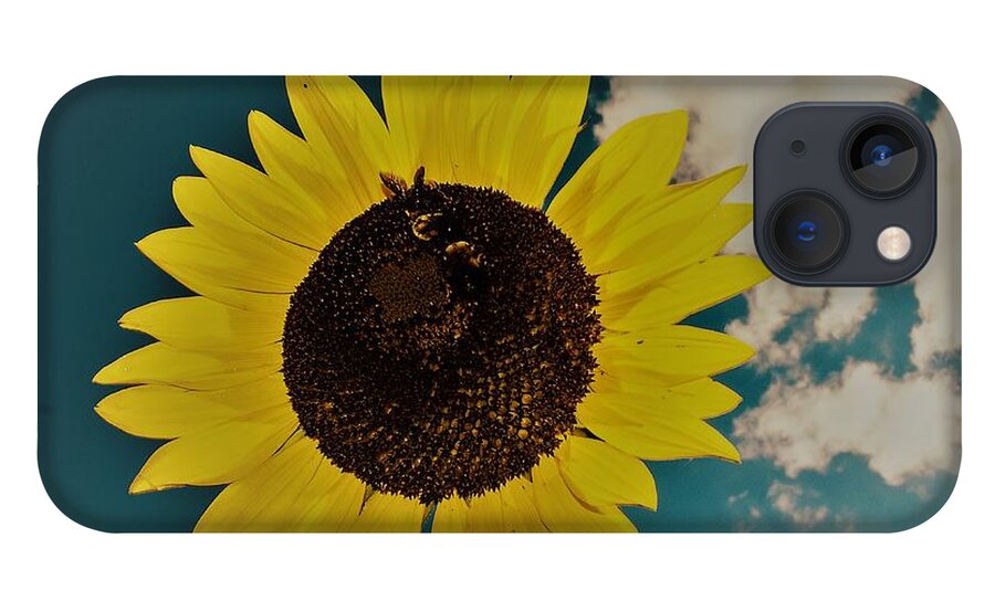 Sun iPhone 13 Case featuring the photograph Sunflower by Randy Sylvia