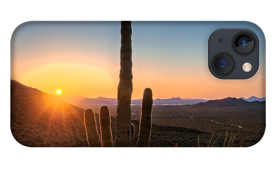 Arid iPhone 13 Case featuring the photograph Sunlit Cactus by Maria Coulson