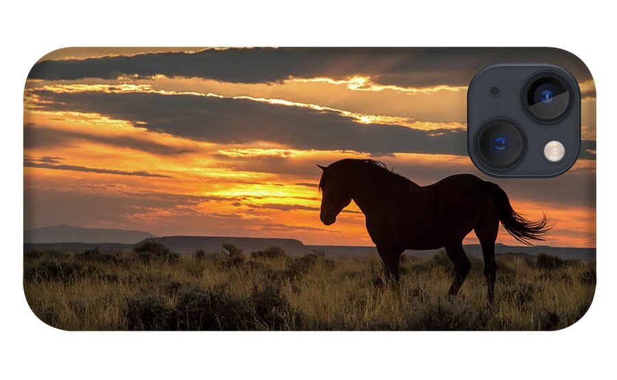 Mustang iPhone 13 Case featuring the photograph Sunset on the Mustang by Jack Bell