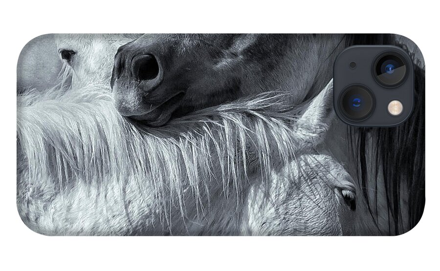 Wild Horses iPhone 13 Case featuring the photograph Surrounded by Love BW by Belinda Greb