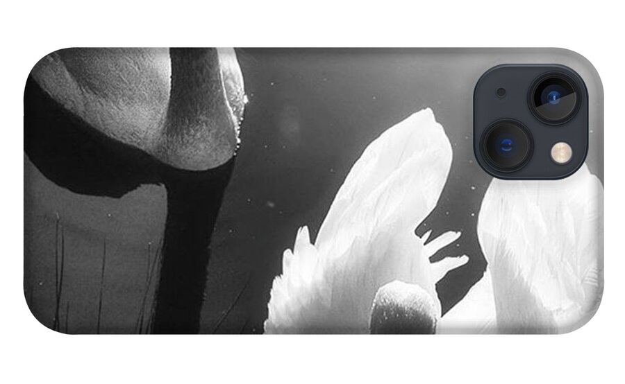 Swan iPhone 13 Case featuring the photograph Swan Lake In Winter - Kingsbury Nature by John Edwards