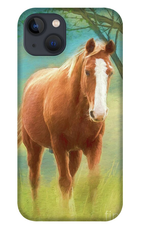 Horse iPhone 13 Case featuring the photograph Sweeper by Eleanor Abramson