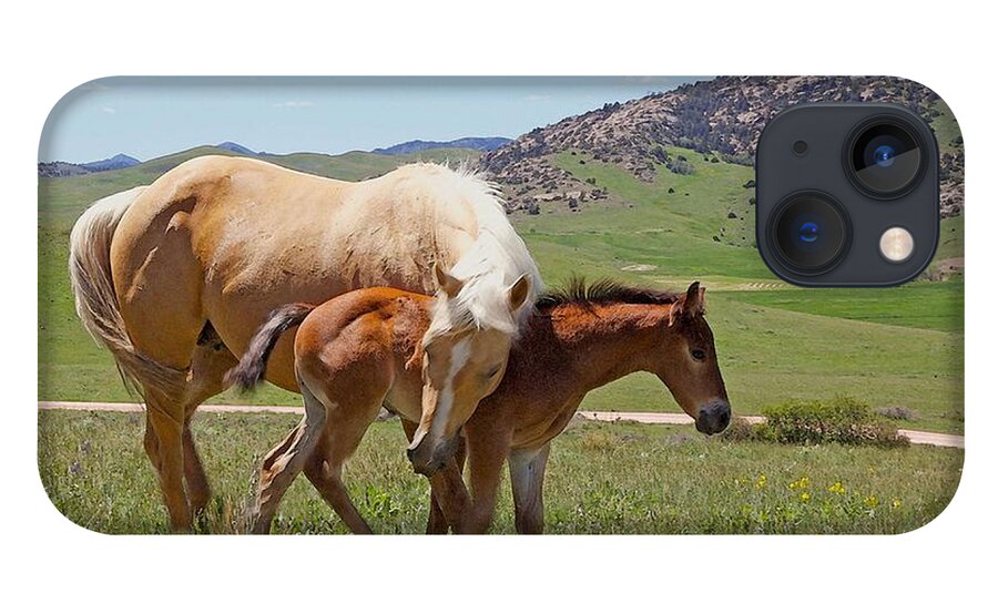 Wyoming iPhone 13 Case featuring the photograph Sweet Comfort by Amanda Smith