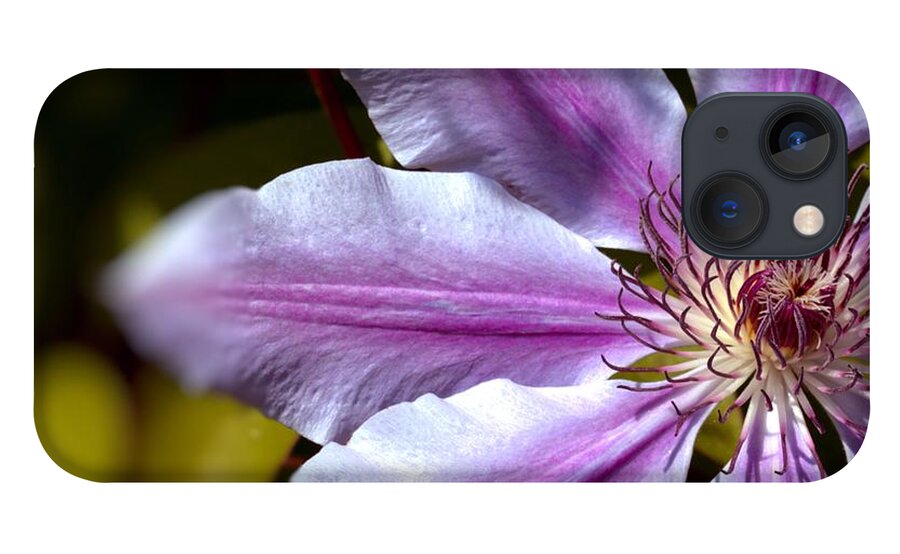 Flora iPhone 13 Case featuring the photograph Sweet Nelly Clematis by Baggieoldboy