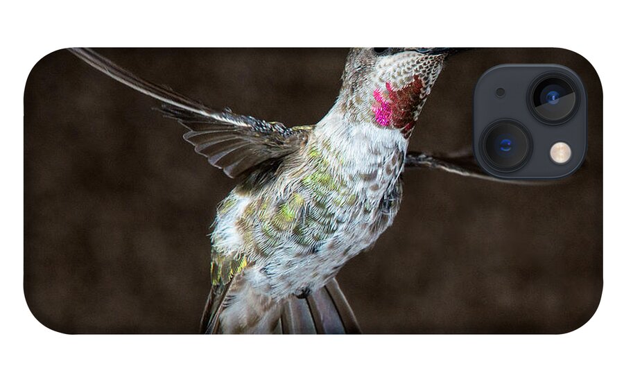 Hummingbird iPhone 13 Case featuring the photograph Take My Good Side Please by Patrick Campbell