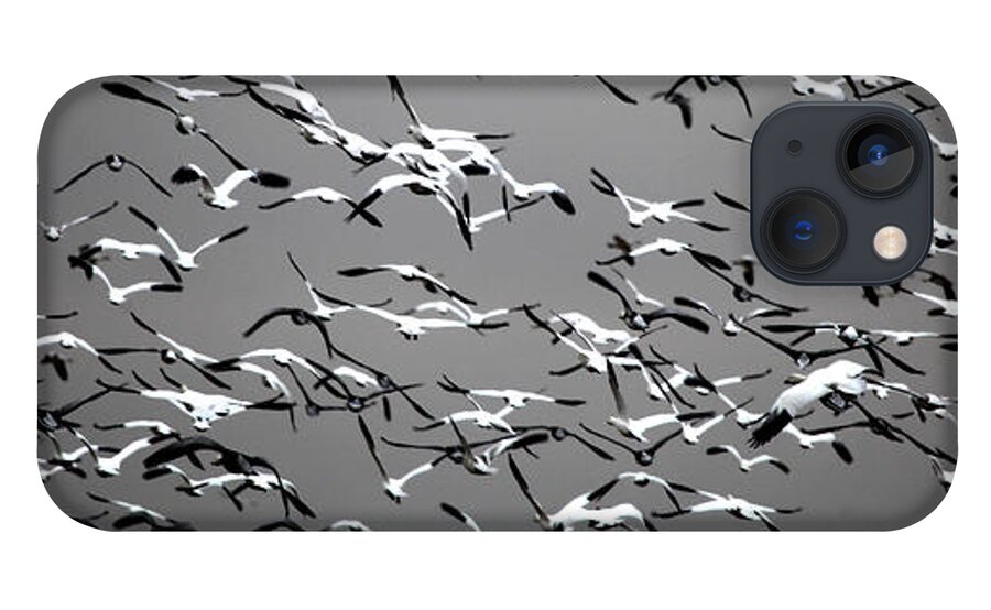  iPhone 13 Case featuring the photograph Take Wing 2 by Darcy Dietrich