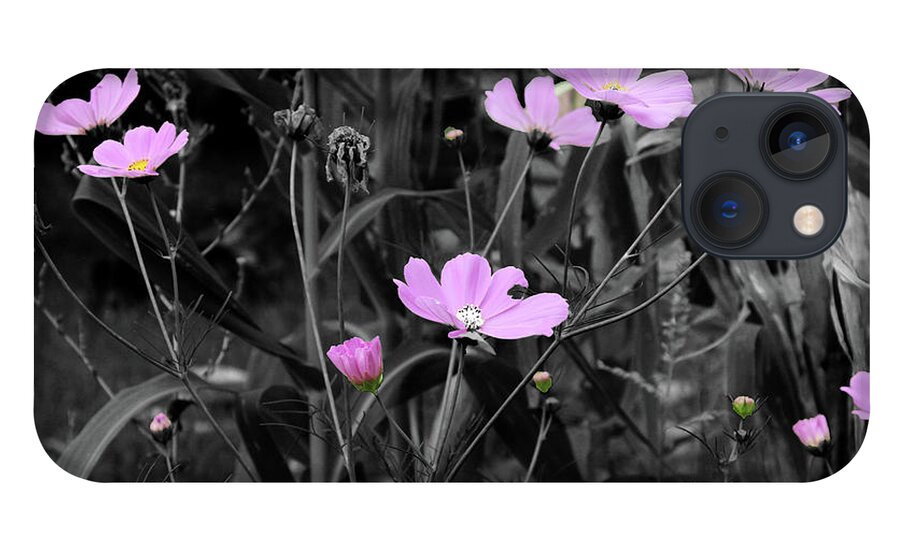 Pink iPhone 13 Case featuring the photograph Tall Pink Poppies by April Burton