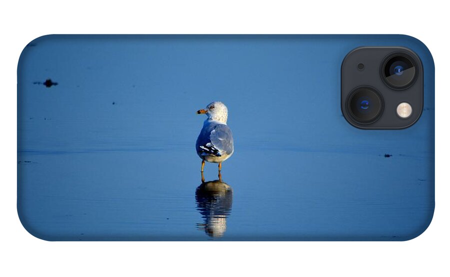 Seagull iPhone 13 Case featuring the photograph Tan Lines by Dani McEvoy