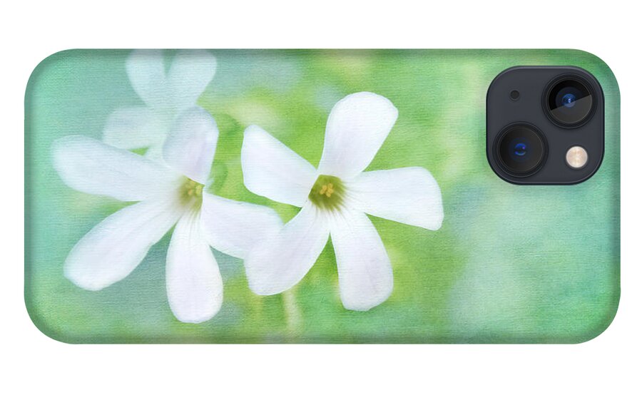 White Flowers iPhone 13 Case featuring the photograph Tenderly Music by Marina Kojukhova