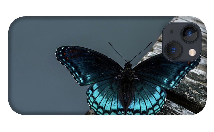 Butterfly iPhone 13 Case featuring the photograph The Admiral by Jody Partin