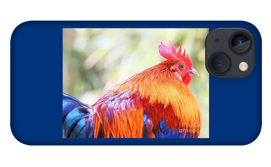 Rooster iPhone 13 Case featuring the photograph The Beauty Of Wild by Jan Gelders