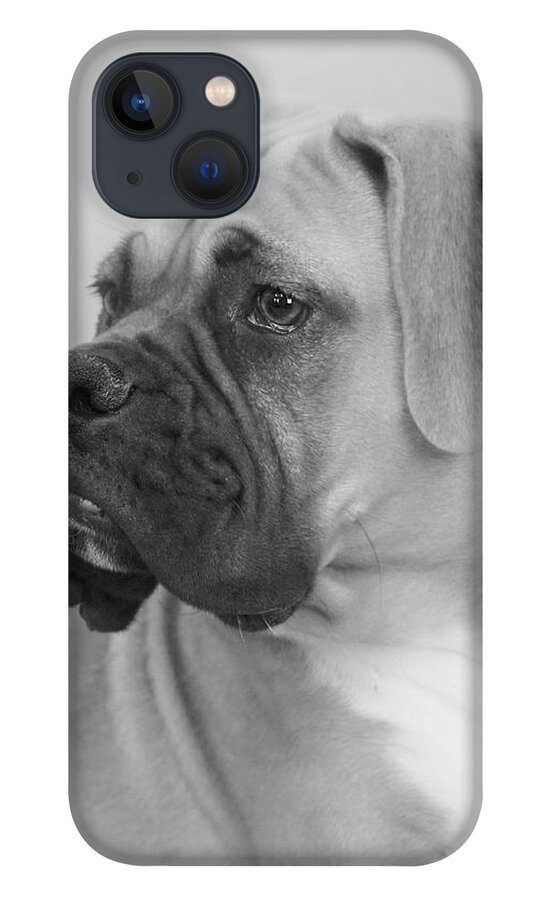 Boxer Dog iPhone 13 Case featuring the photograph The Boxer Dog - the Gentleman amongst dogs by Alexandra Till