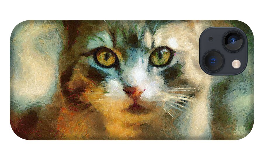 Painting iPhone 13 Case featuring the painting The Cat Eyes by Dimitar Hristov