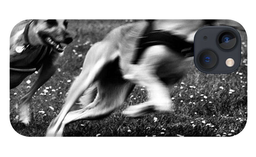 Persiangreyhound iPhone 13 Case featuring the photograph The Chasing Game. Ava Loves Being by John Edwards