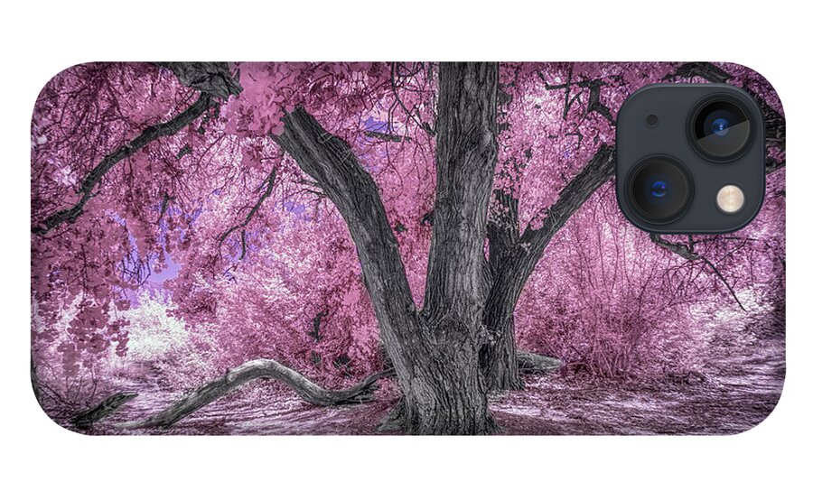 New Mexico iPhone 13 Case featuring the photograph The Cottonwood in the Bosque by Michael McKenney