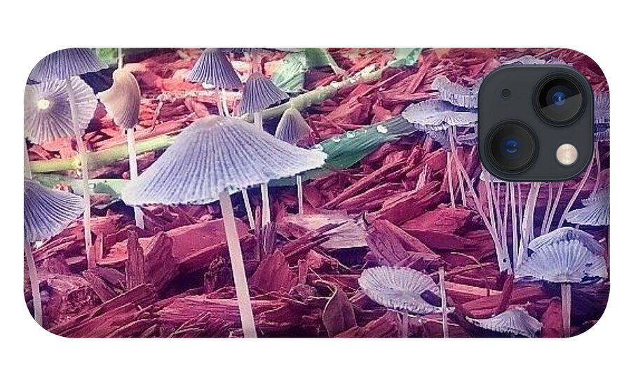 Mushrooms iPhone 13 Case featuring the photograph The fun guys by Kari Myres