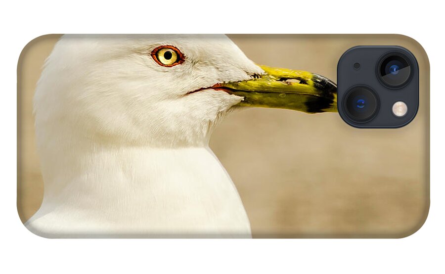 Great Lakes Gull iPhone 13 Case featuring the photograph The Proud Gull by John Roach