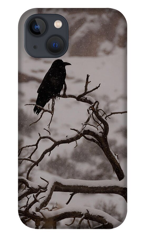 Snow iPhone 13 Case featuring the photograph The Raven by Tranquil Light Photography