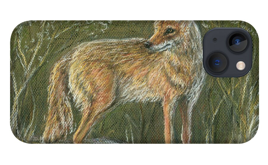 Animal iPhone 13 Case featuring the painting The Scout, Coyote by June Hunt