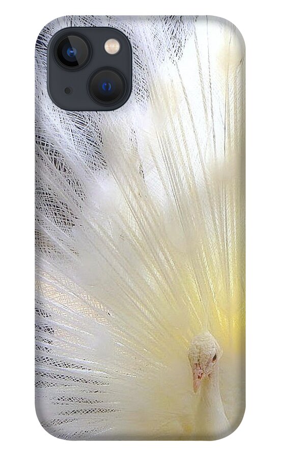Bird iPhone 13 Case featuring the photograph The Softer Side of White by Lori Lafargue