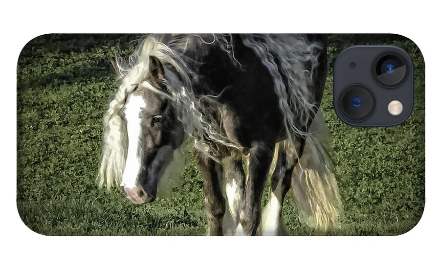 Soft iPhone 13 Case featuring the photograph The Softest Mare by Terry Kirkland Cook