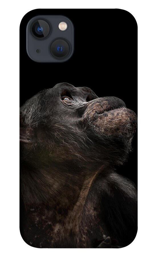 Chimpanzee iPhone 13 Case featuring the photograph The Stargazer by Paul Neville