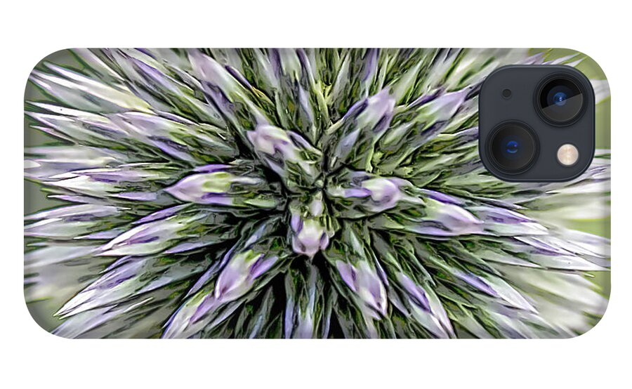 Nature iPhone 13 Case featuring the photograph Thistle II by Robert Mitchell