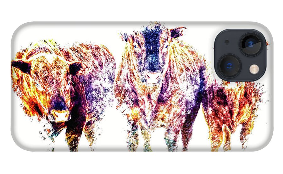 Bulls iPhone 13 Case featuring the photograph Three Amigos by Amanda Smith