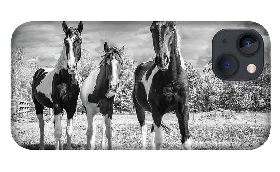 Horses iPhone 13 Case featuring the photograph Three Amigos by Holly Ross