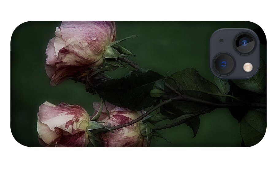 3 Roses iPhone 13 Case featuring the photograph Three Romantic Roses by Richard Cummings